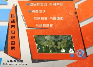 20140930家政女皇视频和笔记:陈允斌讲银杏的功效,白果鸡蛋羹,白果美容,白果食用禁忌