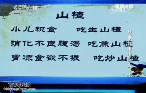 20141001《健康之路》李乾构讲山楂的功效,柿子的功效,柿饼二米粥,丁香柿蒂汤,石榴皮止泻  ...