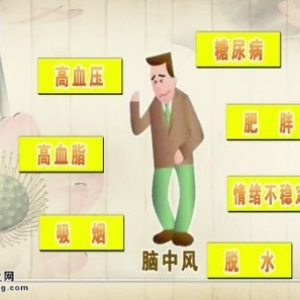 20141009饮食养生汇视频和笔记:李志强讲脑中风的症状,脑中风如何预防,脑中风的急救