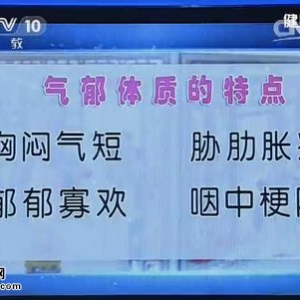 20141011《健康之路》张晓甦讲医说红楼(上),气郁体质的特点,合欢助眠茶,火肉白菜汤
