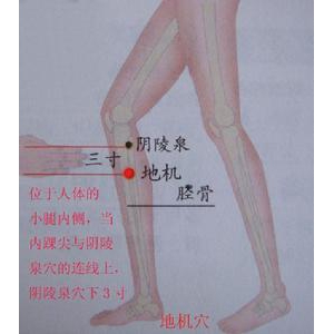 20141012《养生堂》王凤岐,付国兵,刘燕萍讲多管齐下降血糖、降糖茶包、糖尿病保健操