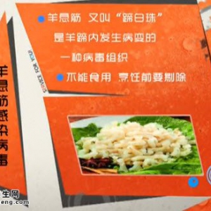20141020家政女皇:王旭峰讲哪些致病肉不能吃,猪肉绦虫,血脖肉,米猪肉