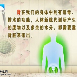20141022饮食养生汇视频和笔记:钱嘉厚讲肾病的症状、肾病的治疗、肾病的调养
