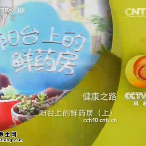 《健康之路》20141026视频:钱会南讲仙人掌的功效,芦荟的功效,仙人掌炒鸡肉,芦荟祛火药膳