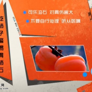 家政女皇20141030视频和笔记:吴大真讲柿子的功效,吃柿子的禁忌,柿蒂的功效