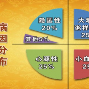 《养生堂》20141031视频笔记:王拥军讲造成心源性脑卒中的原因、脑卒中的预防