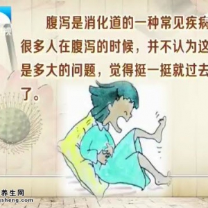 饮食养生汇20141031视频和笔记:钱冬梅讲肠道健康,乳酸菌的作用,山药烧猪肚