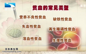 饮食养生汇20141110视频和笔记:王景文讲贫血的症状、地中海贫血、贫血的治疗