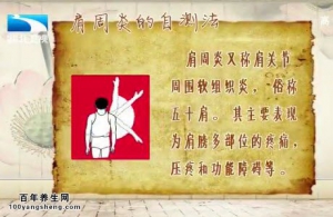 饮食养生汇视20141112频和笔记:张峻斌讲肩周炎的症状及治疗