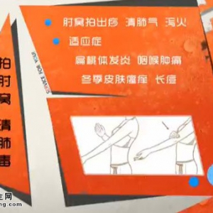 家政女皇20141117视频和笔记:迷罗讲清肺四部曲、洋葱炒山药的制作