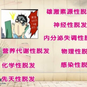饮食养生汇20141118视频和笔记:魏爱华讲脱发的原因、怎么防止脱发