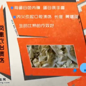 家政女皇20141118视频和笔记:吴大真讲石斛的功效、治疗溃疡小偏方