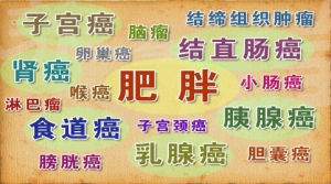 《养生堂》20141119视频:沈琳讲肥胖和癌症的关系、健康减肥的四种方法