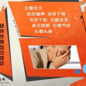 家政女皇20141119视频和笔记:范志红讲贫血的症状、儿童贫血的原因、补铁的误区