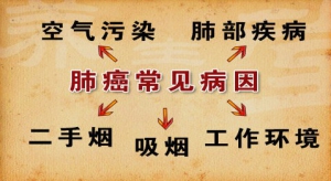 《养生堂》20141203视频和笔记:刘德若讲肺癌的发病原因、肺癌的高发人群