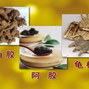 《养生堂》20141205视频和笔记:郁仁存,徐咏梅讲放化疗的危害、癌症病人的饮食调理