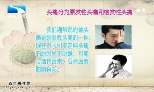 饮食养生汇20141209视频和笔记:王惠民讲头痛的分类和原因及治疗方法