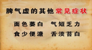 《养生堂》20141210视频和笔记:程凯讲脾气虚的症状、血虚的症状、气血亏虚的饮食调理