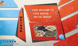 家政女皇20141217视频和笔记:王凤岐讲脸上长痘痘的调理 五汁饮的制作方法