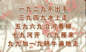 《养生堂》20141221视频和笔记:冬季高血压患者注意事项 高血压患者冬季用药原则