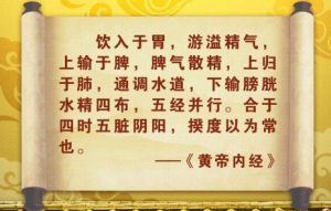 《养生堂》20141224视频和笔记:伤害肾气的生活习惯 肾出现问题的表现 玉屏风散的适应症