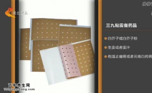 家政女皇20150101视频和笔记:吴大真讲三九贴的用法 香煎萝卜糕的制作方法