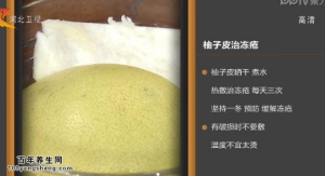 家政女皇20150102视频和笔记:左小霞讲柚子的养生功效 柚子茶的做法