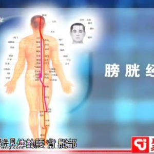 聚健康20150107视频和笔记:程凯讲下肢静脉郁阻的症状 腰背疼怎么办
