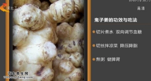 家政女皇20150108视频和笔记:左小霞讲姜的养生功效 吃姜的禁忌 鬼子姜红焖鲤鱼