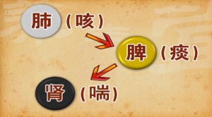 《养生堂》20150109视频和笔记:晁恩祥讲肺病及肾的症状 肺气肿的调理治疗 黄精参麦饮