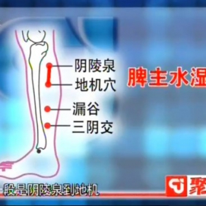 聚健康20150112视频和笔记:程凯讲胆经阳性反应点在哪里 缓解女性更年期症状的方法