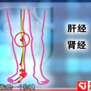 聚健康20150113视频和笔记:程凯讲肝经循行图 肾经循行图 骨关节病
