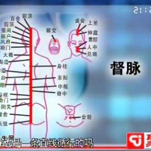 聚健康20150114视频和笔记:程凯讲督脉的循行图 任脉循行图 如何治疗失眠