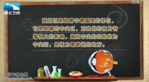 饮食养生汇20150119视频和笔记:杨柳老年性黄斑变性 黄斑变性自测方法
