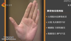 家政女皇20150119视频和笔记:高振宗讲手指长短、粗细、诊断疾病