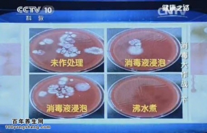 《健康之路》20150120视频和笔记:叶俏讲抹布用哪种方法消毒最好 如何正确清洗菜板