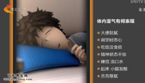 家政女皇20150122视频和笔记:吴大真讲体内有湿气的表现 红豆和赤小豆的区别