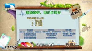 饮食养生汇20150122视频和笔记:钱冬梅讲肠道健康问题的表现 肠道保健