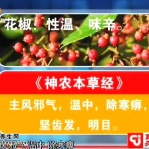 20150123聚健康视频和笔记:张冰讲花椒的药用功效 温中止痛外敷方