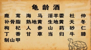 《养生堂》20150125视频和笔记:王承德讲龟龄酒 温补肾阳养生方 滋补肾阴养生方 顺天养生方