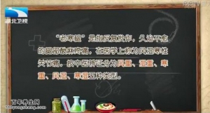 20150126饮食养生汇视频和笔记：导致老寒腿的原因 如何预防老寒腿