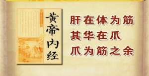 《养生堂》20150128视频和笔记:肝火上炎的表现及治疗 肝气郁结的症状及调理
