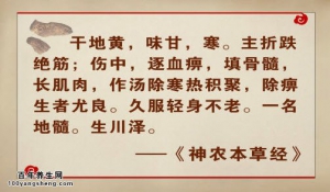 《养生堂》20150202视频和笔记:养生六字诀 四鲜汤的配伍 鲜蒲公英的功效