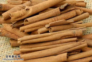 聚健康20150204视频和笔记:肉桂的功效与作用 肉桂的服用禁忌