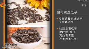 家政女皇20150204视频和笔记:什么样的瓜子不易上火 南瓜子的功效