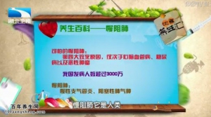 饮食养生汇20150206视频和笔记:慢阻肺的主要症状 慢阻肺的危害 慢阻肺的护理