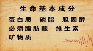 北京《养生堂》20150212视频:早餐该怎么吃 吃早餐的误区 不吃早餐的危害
