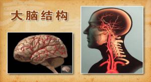 《养生堂》20150213视频:晚餐到底应该怎么吃 教您吃对晚餐健康强健