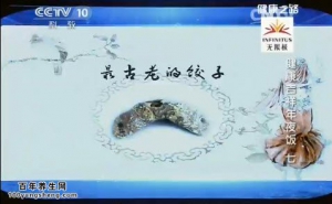 《健康之路》20150217视频:健康吉祥年夜饭(7) 巧拌羊肉馅饺子馅 巧拌纯素饺子馅