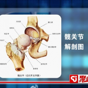 聚健康20150217视频和笔记:髋部疾病的症状 哪些不良的生活习惯容易引起髋部疾病